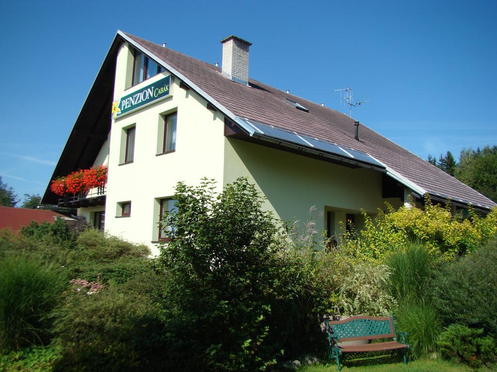 Penzion Cabak Vrchlabí Exteriör bild